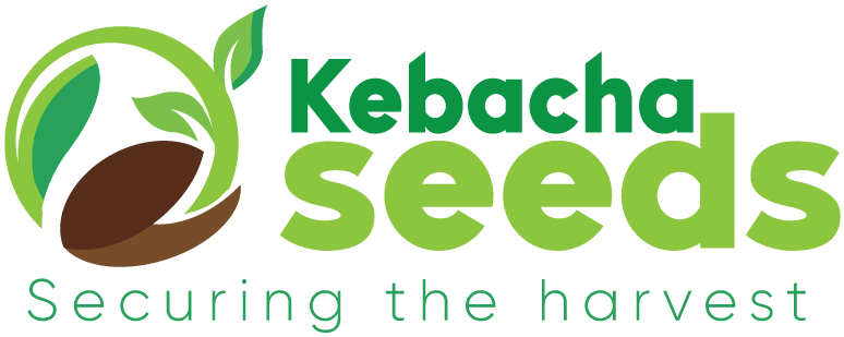 cropped-kebacha-final-logo